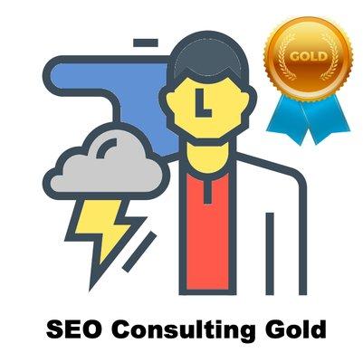 SEO Consulting for your company