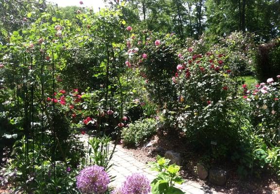 We design and build landscapes or can rejuvenate your existing one! We can do perennials and roses.