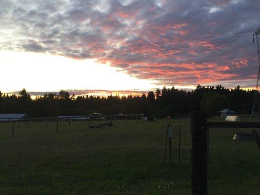 Kozy Manor at sunset