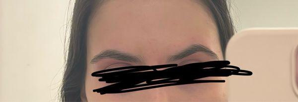 Don't mind the weird black scratching- just look at those brows!