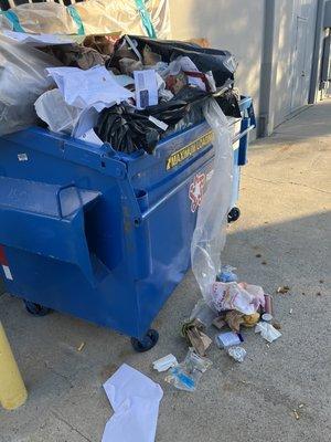 The trash they threw all over our dumpsters