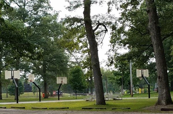 basketball court