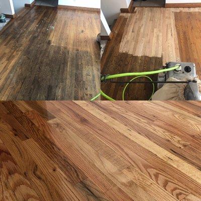 This red Oak Wood Floor really needed a refinish the customer went with oil based polyurethane