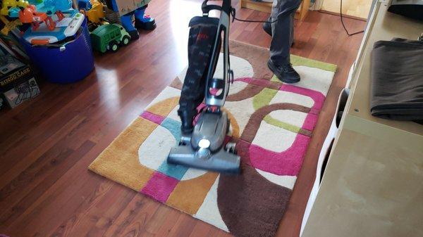 Rug cleaning by Naturally Green Cleaning in Manhattan Beach, CA