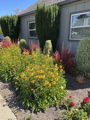 The flowers outside the church