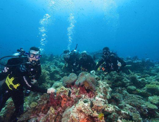 Dive Outdoors in Redding, CA