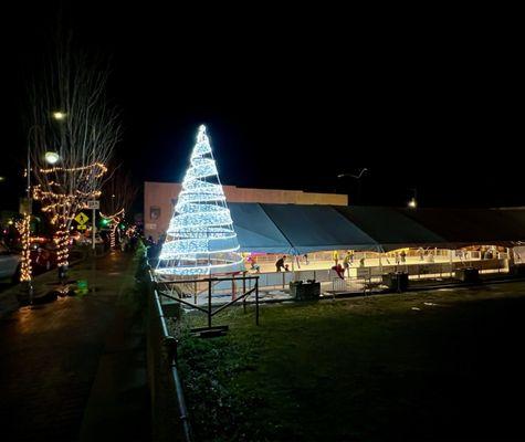 Part of their lovely Winter Ice Village!