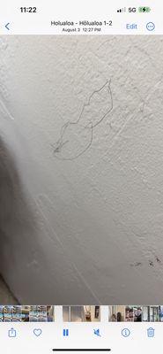 Writing on wall in bedroom