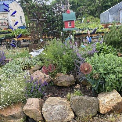 The rock garden in the parking lot at LKN Garden center.