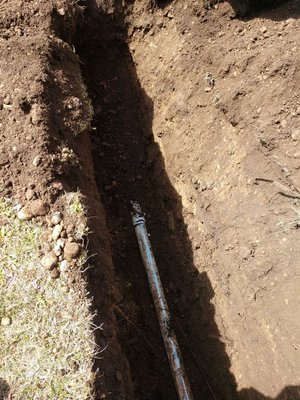 Main line to septic tank