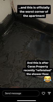 My upstairs neighbor...Caras is the worst!