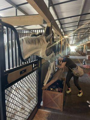 Tack trunk in front of every stall!