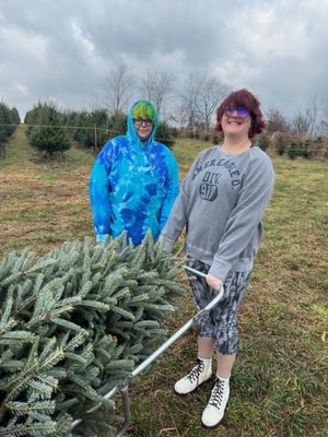 Dolly for getting tree from the field to the tractor pick-up spot.