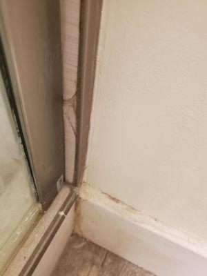 Chipped tile, water damage