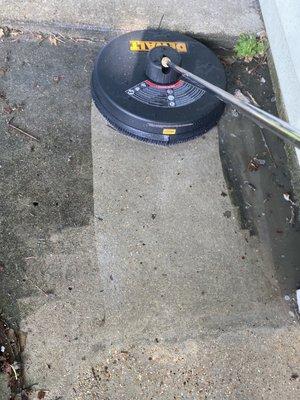 Cleaning mold and dirt off concrete.