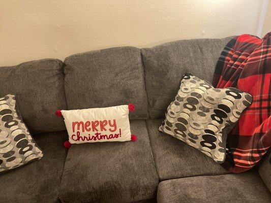 Clean couch ready for the holidays!