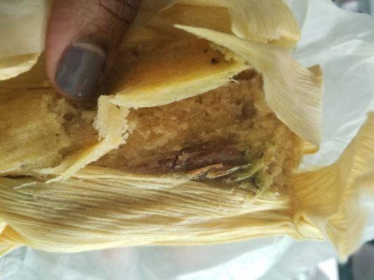 Cheese and jalapeno tamale