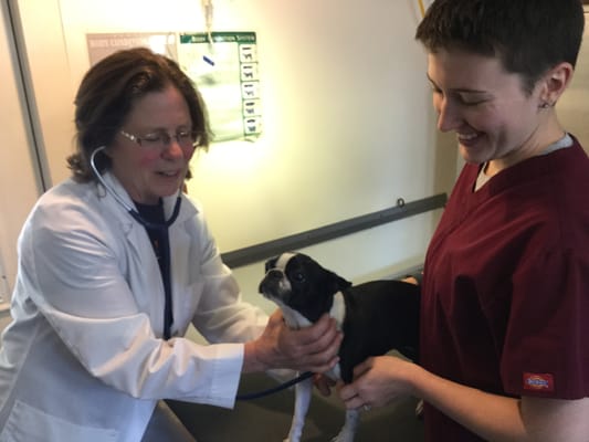 DR. Chapman, Kayrn and a very patient patient, Slater!