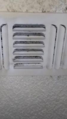 Mold in air vents