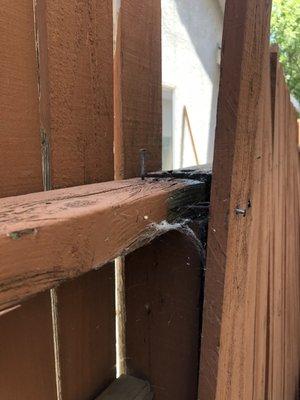 Rotted fence