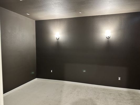 Home theater walls painted