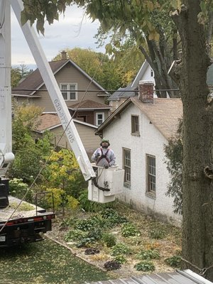 Taking down the top branches