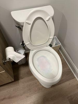 Toilet after being deeply cleaned