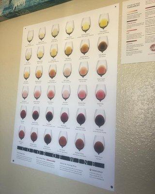 Learn to Identify Wine Like A Pro