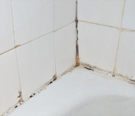 If water is allowed to linger and there is poor ventilation in a bathroom, mold growth will be the outcome...