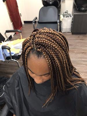 Crochets , Braids, Natural Twist Out