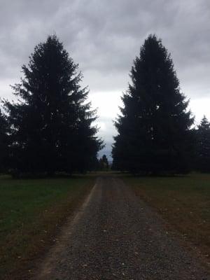 A pathway at Penn's Scenic View.