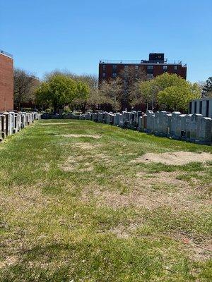 St. Raymond's Cemetery in the Bronx