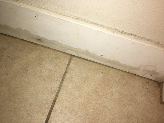 Mold & water damage.