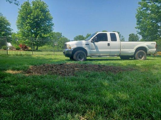 Kohler Stump Grinding