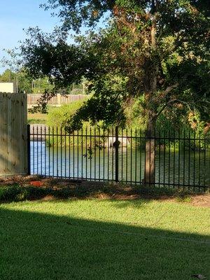 This metal fence is a big improvement over a hurricane fence!