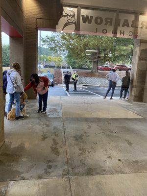 Therapy dogs all around the school