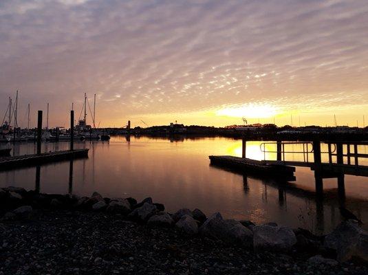 Marina boat ramp area