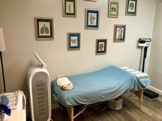 Lipo Laser room for weight lose programs.