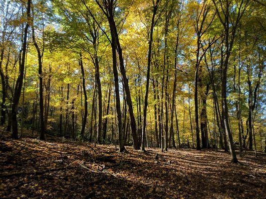 Hidden falls trail, Kinnickinnick State Park