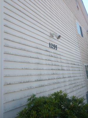 Siding cleaning