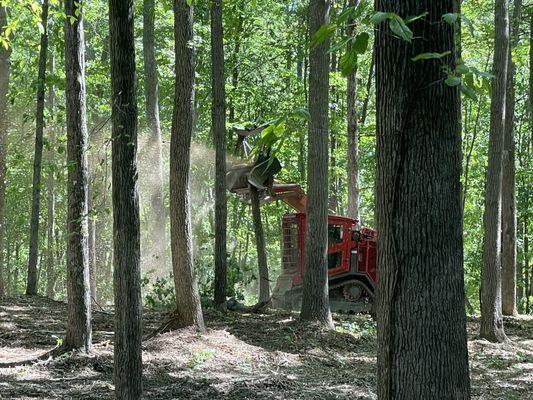 Wolfe Forestry Mulching