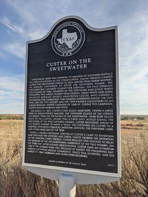 Custer on the Sweetwater Historical Marker, Wheeler TX