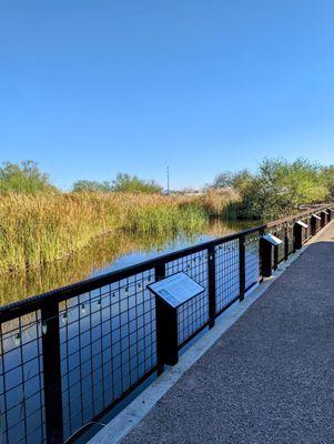 Rio Salado Habitat Restoration Area