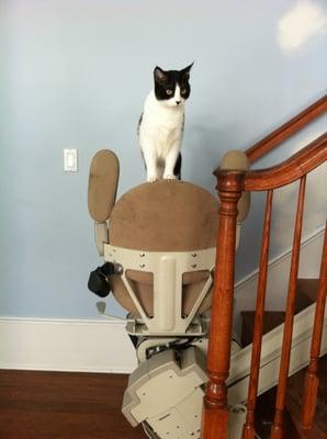 Our new stairlift/cat bed thanks to Bobby Thompson.