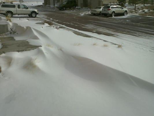 Unshoveled driveways and pedestrian walkways