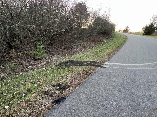 The spot where a "trained bus driver" tried to turn around in the middle of a small road.