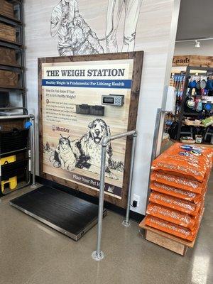 Weigh Station