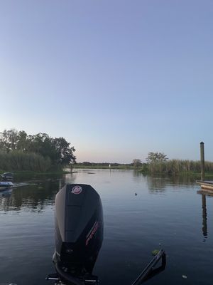 Henry Levy Mullet Park