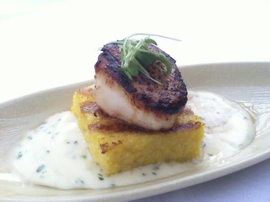 Seared Scallop with Polenta and Tarragon Sauce