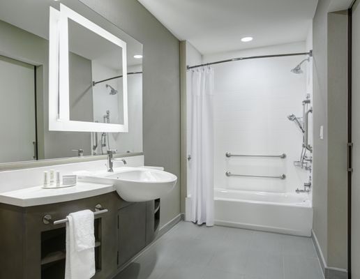 Accessibility Suite Bathroom